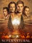 Supernatural Season 15 (final Season) (UK Import), DVD