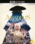 Milos Forman: Amadeus (Theatrical Cut) (Ultra HD Blu-ray) (UK Import mit deutscher Tonspur), UHD