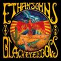 Ethan Johns: Anamnesis, 2 LPs, 2 LPs