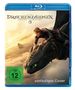 Dean Deblois: Drachenzähmen leicht gemacht (2025) (Blu-ray), BR