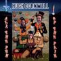 Hugh Cornwell: All The Fun Of The Fair, 2 CDs