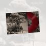 Der Text "Howling Bells" ist oben. Gezeigt wird ein Schwarz-Weiß-Cover mit einem Baum, zwei Personen und einer roten Schallplatte., LP
