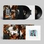 Fink        (UK): IIUII, 2 LPs