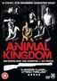 "A COCKY, EYE-GRABBING GANGSTER SAGA"; "ANIMAL KINGDOM"; "A MODERN CLASSIC... UTTERLY THRILLING". Im Hintergrund Gruppe von Menschen.