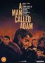 Leo Penn: A Man Called Adam (1966) (UK Import), DVD