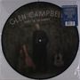 Glen Campbell: Ghost On The Canvas (Limited Edition) (Picture Disc), LP