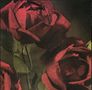 Keine Texte zu beachten. Drei detailreiche rote Rosen mit grünen Blättern vor einem dunklen Hintergrund., LP