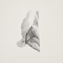 Jabu: Sleep Heavy, LP