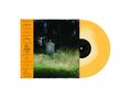 Frank Carter: Dark Rainbow (Ochre & Cream Vinyl), LP