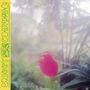 Jabu: Sweet Company, CD