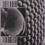 Spleen: Demos, LP, LP