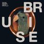 Der Text lautet: "YOU RUN THROUGH THE WORLD LIKE AN OPEN RAZOR" und "BRUISE". Ein grüner Papagei in einem ovalen Rahmen., LP
