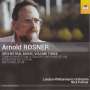 Arnold Rosner (1945-2013): Orchesterwerke Vol.3, CD