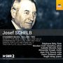 Josef Schelb: Kammermusik Vol.2, CD