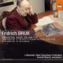 Fridrich Bruk (geb. 1937): Orchesterwerke Vol.5, CD
