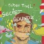 Pictish Trail: Secret Soundz Vol.1 & 2, 2 CDs, 2 CDs