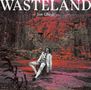 "WASTELAND" und "Jim Ghedi" stehen im Vordergrund. Eine Person sitzt vor einer steinigen, rötlich gefärbten Felskulisse., LP
