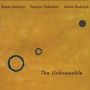 Dave Liebman, Adam Rudolph & Tatsuya Nakatani: The Unknowable, 2 LPs