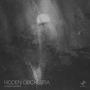 Hidden Orchestra: Dawn Chorus (Limited Edition) (Ultra Clear Vinyl), 2 LPs