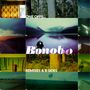 Bonobo (Simon Green): One Offs... Remixes & B-Sides (180g) (Limited-Edition), 2 LPs