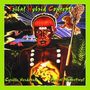 Clearlight: Tribal Hybrid Concept, CD, CD