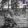 Jean Sibelius (1865-1957): Instrumentawerke & Kammermusik, CD