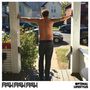 Pkew Pkew Pkew: Optimal Lifestyles, LP