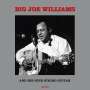 Big Joe Williams (Guitar/Blues): And His Nine String Guitar (180g), LP