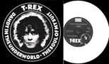 T.Rex (Tyrannosaurus Rex): Dandy In The Underworld / Soul Of My Suit (Limited Edition) (White Vinyl), SIN