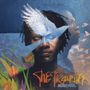 Baaba Maal: The Traveller (Digisleeve), CD