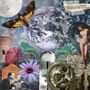 Text: "KILBEY KENNEDY things we did on earth". Eine Collage aus einem Mond, Erde, Schmetterling, Herz, Blumen und Skulpturen., CD