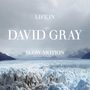 Text: "LIFE IN DAVID GRAY SLOW MOTION". Eine weite, eisige Landschaft mit bewölktem Himmel im Hintergrund.