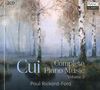 Texte: "2CD", "Cui Complete Piano Music Volume 2", "Paul Rickard-Ford", "PIANO CLASSICS". Gemälde von nebligem Wald mit Birken., 2 CDs