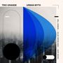Will Vinson, Gilad Hekselman & Nate Wood: Trio Grande: Urban Myth, LP, LP