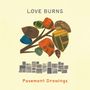 Text: "LOVE BURNS", "Pavement Drawings". Illustration eines stilisierten Baums mit Blättern aus Zeitungsausschnitten., CD