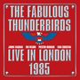 "The Fabulous Thunderbirds, Live in London 1985" mit blauen Adlerillustration auf rotem Hintergrund., 2 LPs