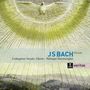 Johann Sebastian Bach: Messen BWV 233-236 (Lutherische Messen), CD,CD