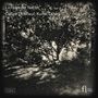 Coline Dutilleul - Licht in der Nacht, CD