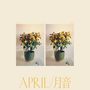 Emmy The Great: April, CD