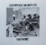 "DROPKICK MURPHYS" und "HAYWIRE". Kinder spielen auf der Straße Hockey. Im Hintergrund steht "NEW ENGLAND FOREVER"., LP