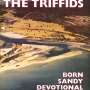 The Triffids: Born Sandy Devotional (Enhanced), CD