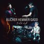 Michael Blicher, Dan Hemmer & Steve Gadd: It Will Be Alright, CD