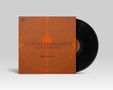 Text: "GUSTAF LJUNGREN with SKÚLI SVERRISSON - Along the Low Road". Orange Muster auf braunem Vinyl-Cover., LP