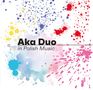 Aka Duo: In Polish Music, CD, CD