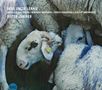 Text: "Dear Uncle Lennie", "Sister Juniper". Darunter Schafe, dicht aneinandergedrängt, teilweise blau gefärbt., CD