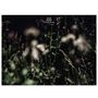 Anneli Drecker: Rocks & Straws, CD