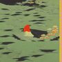 Text "PORTO GEESE POP SONGS" am Rand, Illustration einer Ente mit rotem Kopf auf grünem Wasser., LP