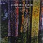 Ferdinando Romano: Totem (180g), LP, LP