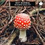 „NOT NORMAL MODÆRN QUALITET“, Namen darunter, roter Fliegenpilz im Wald, Logo mit Wolke rechts oben., LP