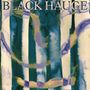 Text: "BLACK HAUGE". Illustration mit vertikalen, fließenden, bunten Streifen in Blau-, Lila- und Grüntönen., LP